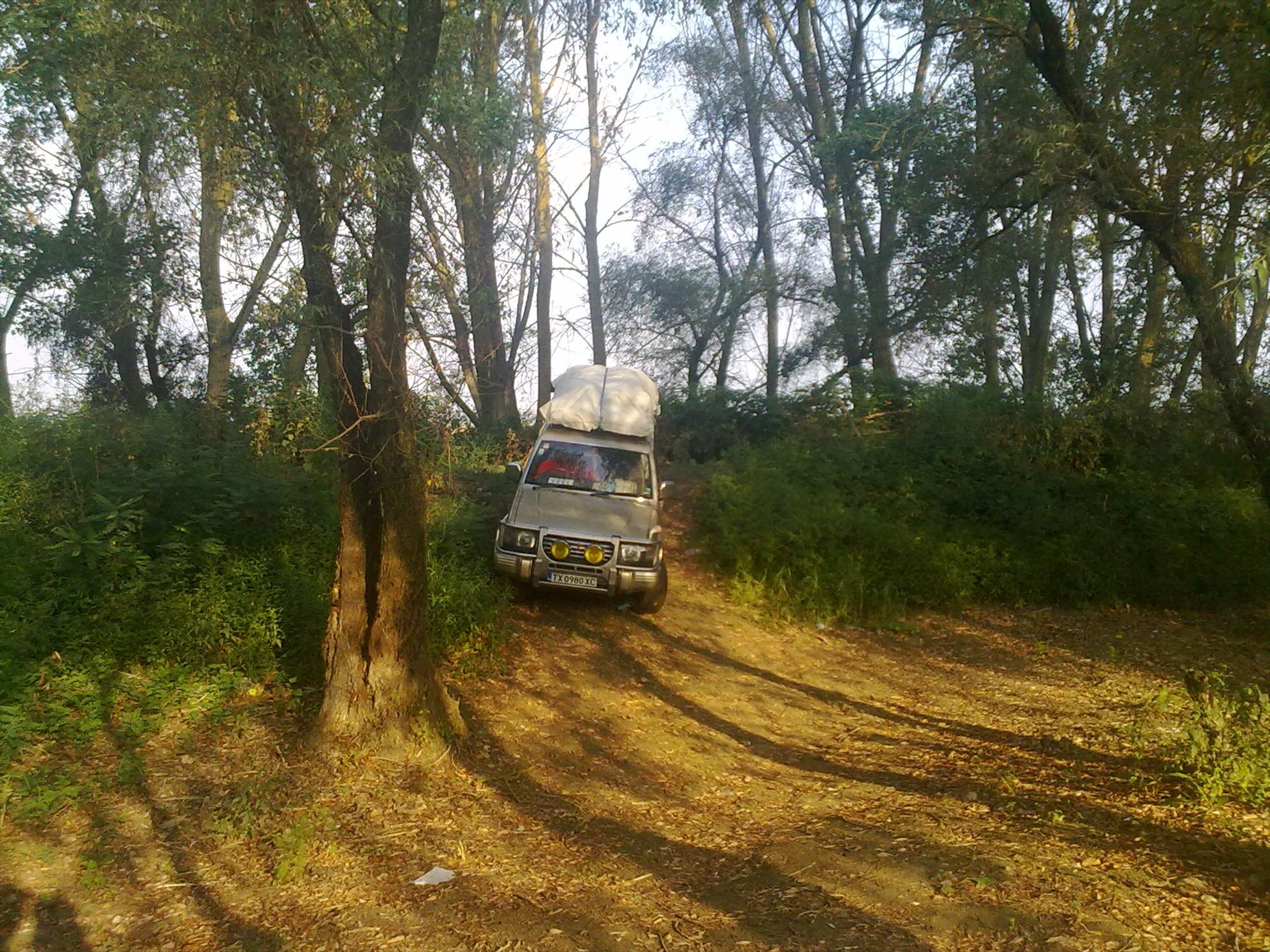 De prin delta adunate - 04092011253.jpg